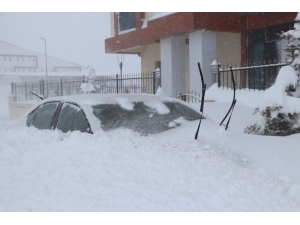Yıldızdağı Kara Doydu