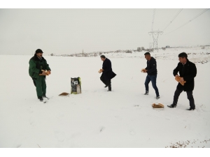 Başkan Cabbar, Hayvanlar İçin Doğaya Yiyecek Bıraktı