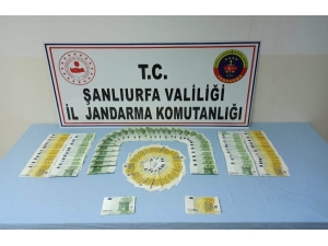 Şanlıurfa’da Sahte Döviz Ve Tarihi Eser Kaçakçılığı Operasyonu