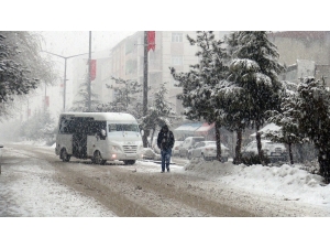 Ahlat’ta Yoğun Kar Yağışı