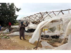 Şiddetli Fırtına Seralarda 3 Milyon 555 Bin Lira Hasara Yol Açtı