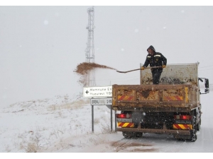 Kar Yağışıyla Birlikte Ekipler Sahaya İndi