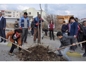 Cizre Belediyesi Yeşil Bir Gelecek İçin Çalışıyor