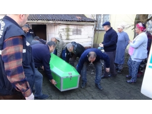 Yaşlı Kadın Evinde Ölü Olarak Bulundu