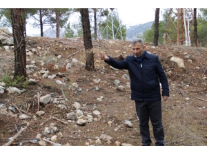 Yaban Hayvanlarına Yem Bırakıldı