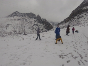 Sason’da Kar Yağışı Nedeniyle 50 Köy Yolu Ulaşıma Kapandı