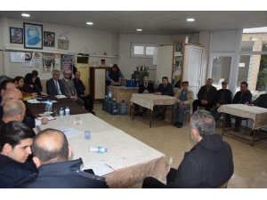 Yenipazar Çarşı Mahalle Halkı Sokak Köpeklerinden Rahatsız