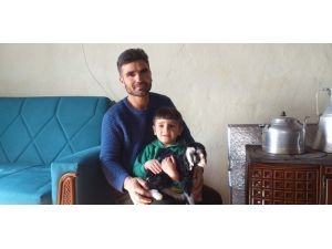 Erken Doğan Keçi Yavrusu Evde Biberonla Besleniyor