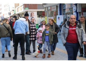 Bolu’da Çocukla Ördeği İlgi Odağı Oldu