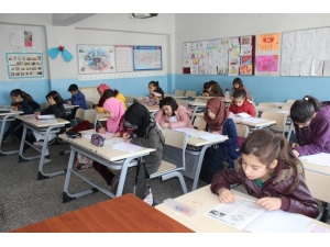 Şırnak’ta Siyer Sınavı Yapıldı