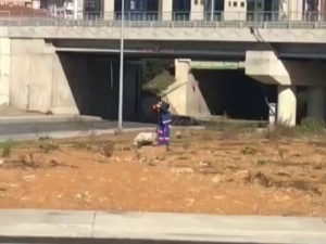 Temizlik İşçisinden Alkışlanacak Hareket