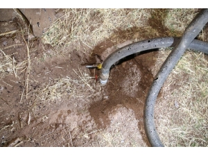 Petrol Hırsızlarına Operasyon: 14 Tutuklama