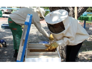 Kent Tarım’da Ücretsiz Eğitim Fırsatı