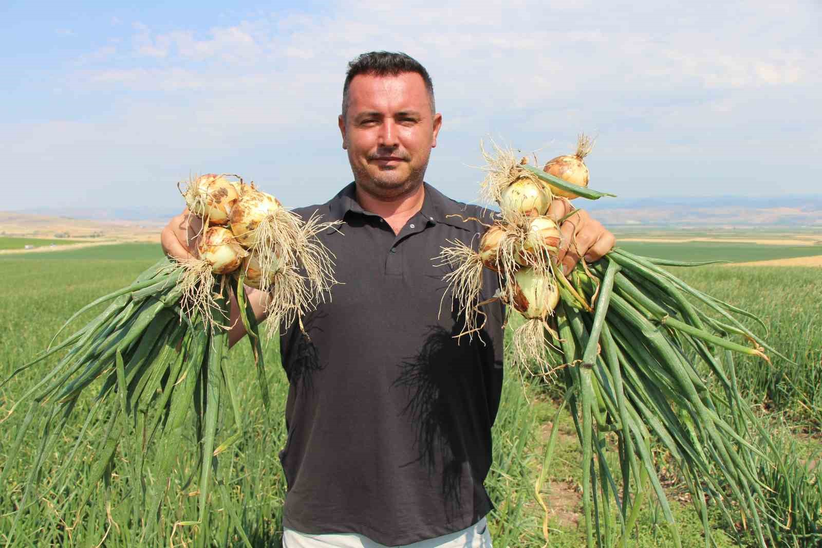 amasya-da-sogan-bir-bardak-caydan-bile-ucuz