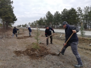 Belediyenin Hedefi ‘Daha Yeşil’ Bir Suluova