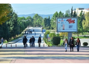 Saü’de Bahar Dönemi Başladı