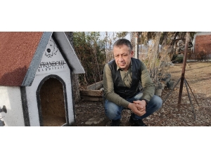 Köpeğini Bulana 3 Bin Tl Ödül Verecek