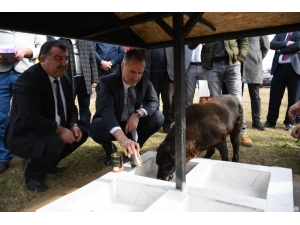 Bursa’da 10 Patiye İyilik Projesi