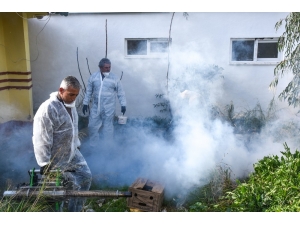 İlaçlama Ekibinden Yoğun Mesai