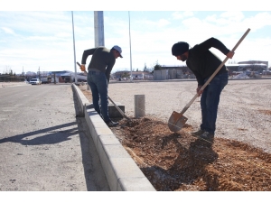 Başkan Kalaycı: “Çalışmalarımıza Yaz Kış Demeden Devam Ediyoruz”