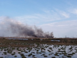 Simenit Gölü’nde Yangın: Çok Sayıda Hayvan Telef Oldu
