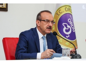 Validen Chp Milletvekiline Tepki