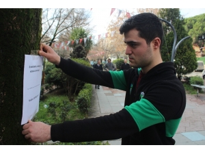 İş Arayan Gençten İlginç Afiş