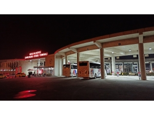 Yolcu Otobüsünde Valizden Kaçan Piton Paniğe Neden Oldu