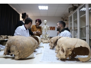 İnsan Kemikleri İle Tarih Yazıyorlar