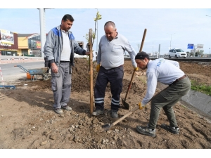 Sarısu Mahallesi’ne 15 Bin Metrekare Peyzaj
