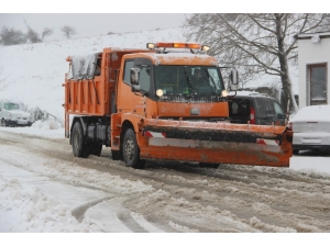 Turuncu Karıncalarda Kar Alarmı