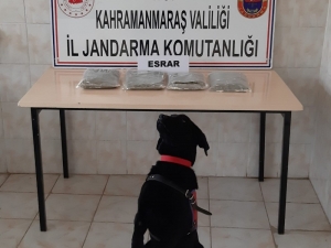 Yolcu Otobüsünde Uyuşturucu Sevkiyatı Jandarmaya Takıldı