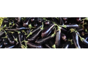 Erzincan, Bayburt Ve Erzurum’da Patlıcan Zam Şampiyonu