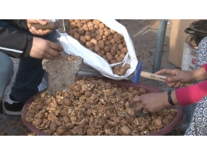 Cevizleri Kırıp Aile Geçimine Katkıda Bulunuyorlar