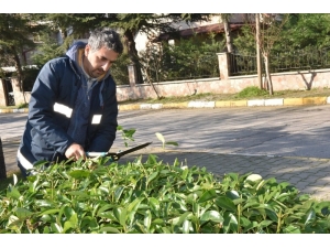 Karesi Küçük Dokunuşlarla Güzelleşiyor