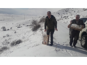 Doğa Koruma Ve Milli Parklar Şube Müdürlüğü’nden Yaban Hayatına Yem Desteği