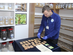 Türkiye’nin Yerli Tohumu Muğla’dan