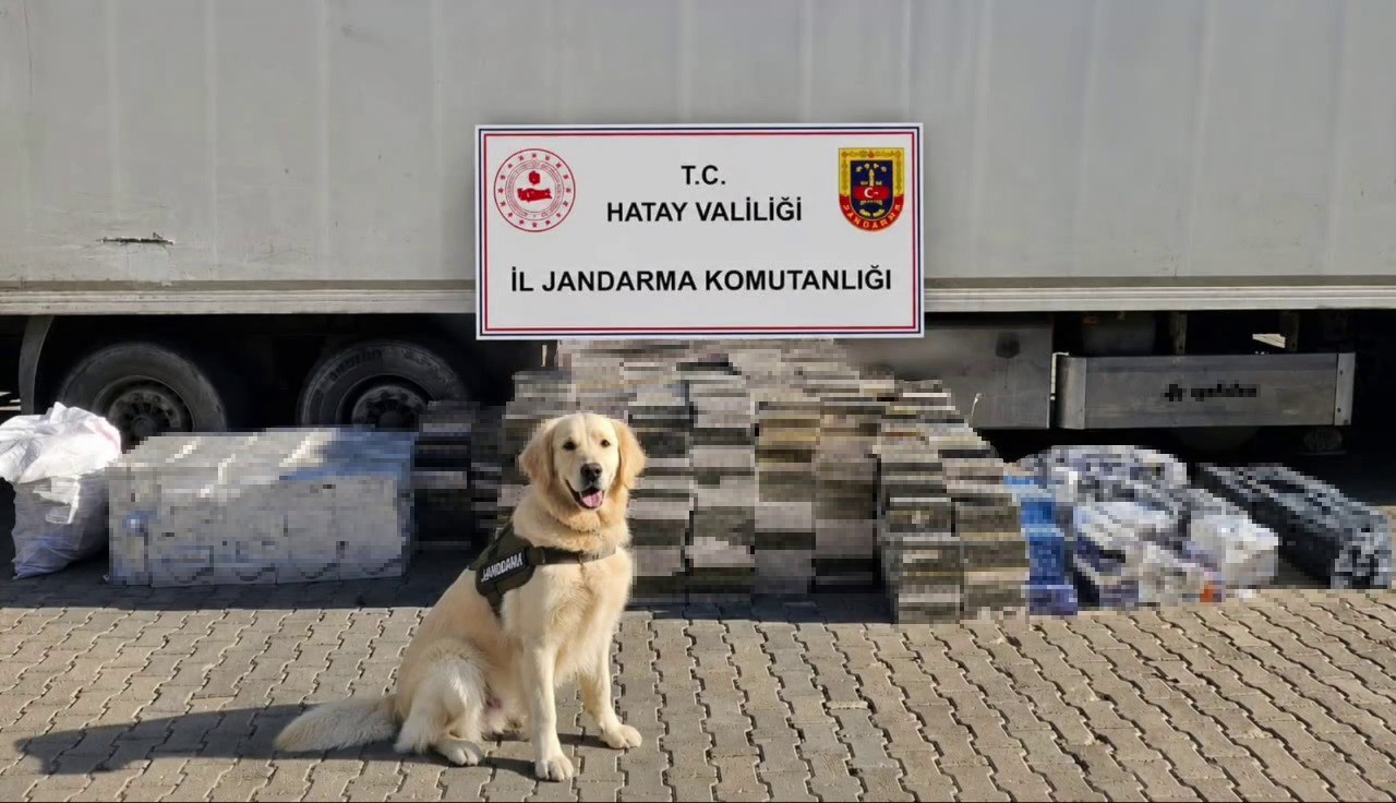 esya-tasinan-tir-dorsesinden-3-bin-karton-kacak-sigara-cikti