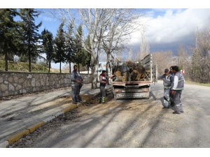 10 Metrelik Kavak Ağacı Minibüsün Üzerine Devrildi