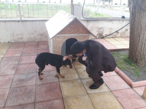 Kaymakam Yalçın, Yaralı Köpeği Sahiplendi