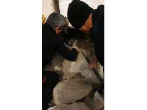 Evin Dış Duvarına Sıkışan Köpeği İtfaiye Ekipleri Kurtardı