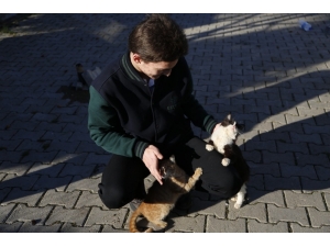 Ordu’da Her Okula Bir Hayvan Sahiplendiriliyor