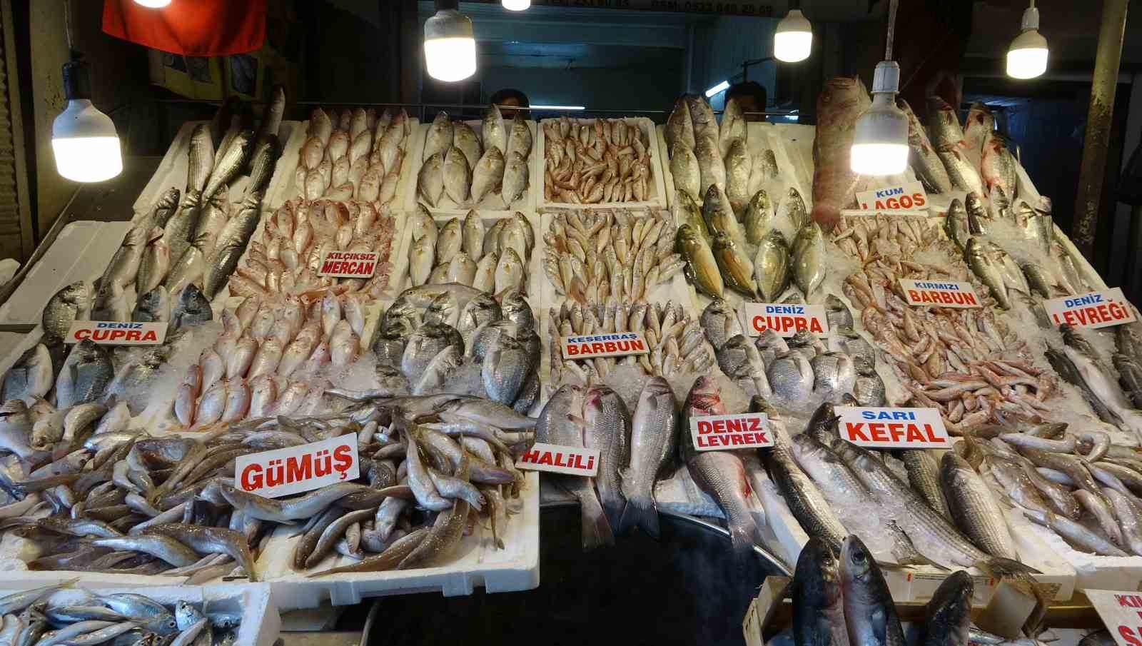 mersin-de-av-yasaginin-kalkmasiyla-balik-tezgahlari-senlendi