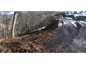 Ordu’da Heyelan Sebebiyle Geçici Boşaltılan 12 Ev İkamete Açıldı