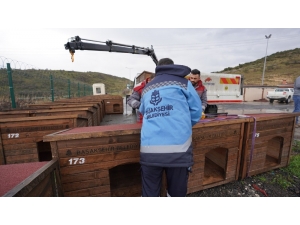 Başakşehir’de Sokak Hayvanları İçin Kış Seferberliği