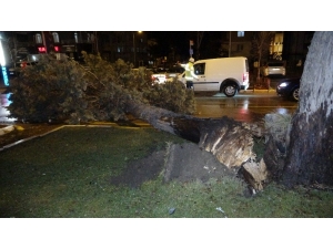 Isparta’da Fırtına Ağaçları, Durak Ve Panoları Devirdi