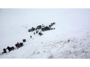 Başkan Kassanov: "İkinci Facia Acımızı Katladı"