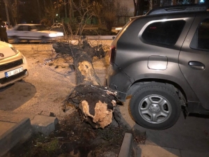 Başkent’te Ağaç Minibüsün Üstüne Devrildi