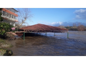 Irmak Taştı Zeytinlik Ve Portakal Ağaçları Sular Altında Kaldı