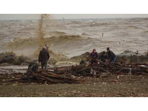 Selde Kütük Kapma Yarışı